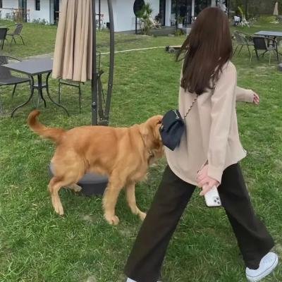 花园宝宝